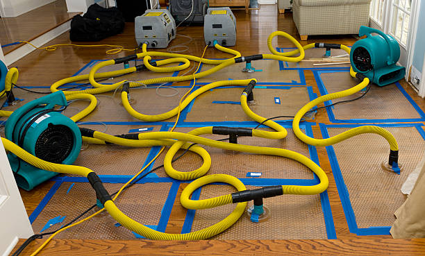 Professional Structural Drying And Dehumidification technician working in Waverly, IL